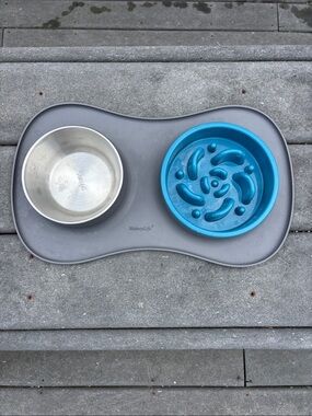 MateeyLife Pet Food & Water Set, Blue Slow Feeder & Stainless Steel Water Bowls